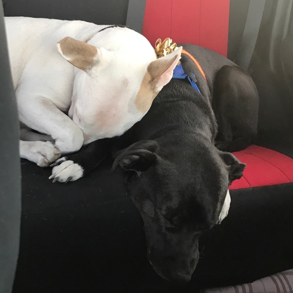 Meet your Posher, Stacie - Picture 7 of 8